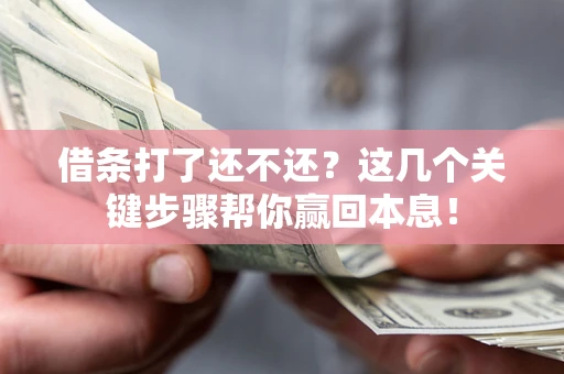 济南借条打了还不还？这几个关键步骤帮你赢回本息！