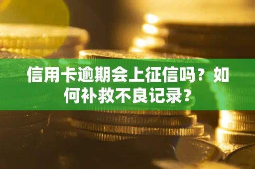 济南信用卡逾期会上征信吗？如何补救不良记录？