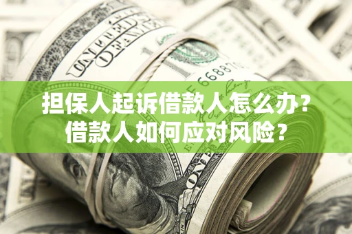 济南担保人起诉借款人怎么办？借款人如何应对风险？