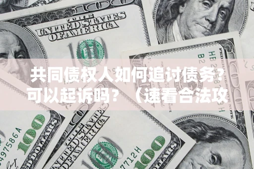 济南共同债权人如何追讨债务？可以起诉吗？（速看合法攻略）